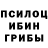 Псилоцибиновые грибы Magic Shrooms Kyk1nov