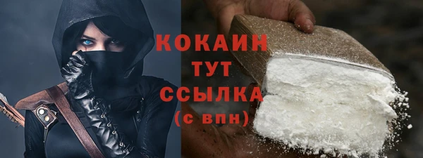 хмурый Сосновый Бор