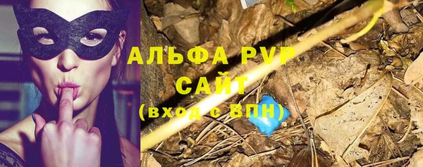 амф Балахна