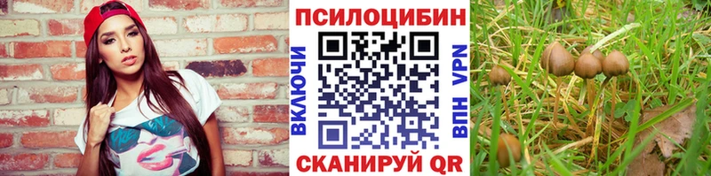 Псилоцибиновые грибы Psilocybe  Гороховец 