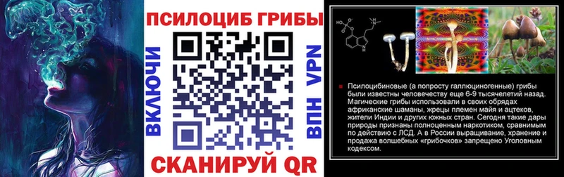 Псилоцибиновые грибы Cubensis Гороховец